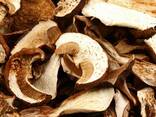 Грибы сушеные (белые либо смесь) - фото 2