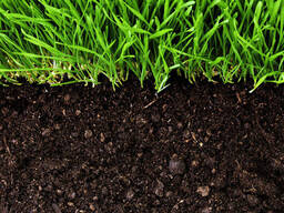 Грунт на основе торфа