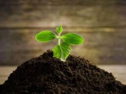 Грунт для рассады