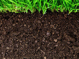 Грунт плодородный в Витебске. Доставка грунта в Витебске