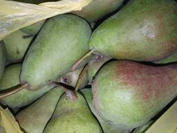 Груши домашние