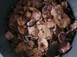 Груздь черный соленый