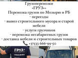 Грузоперевозки Мозырь - фото 1