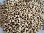 High-Quality Animal Feed – Nutrient-Rich, Custom Blends for Livestock, &amp; Poultry - фото 3