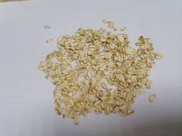 Хлопья овсяные/Oat flakes