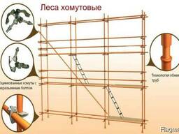 Хомутовые леса