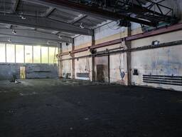 Хотите реально заработать? Снимайте, пока есть возмо