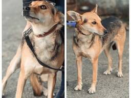 Им нужен дом