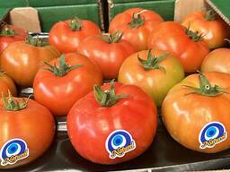 Инспекция товаров в Турции