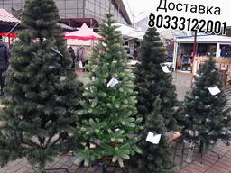 Искусственные ели в Гродно