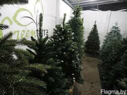 Искусственные елки GreenTerra™ оптом