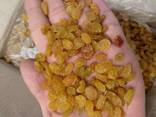 Изюм Голден - Калифар - фото 3