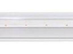 JAZZway PPG T8i 600 Agro 8W IP20