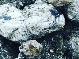 Камень для ландшафта