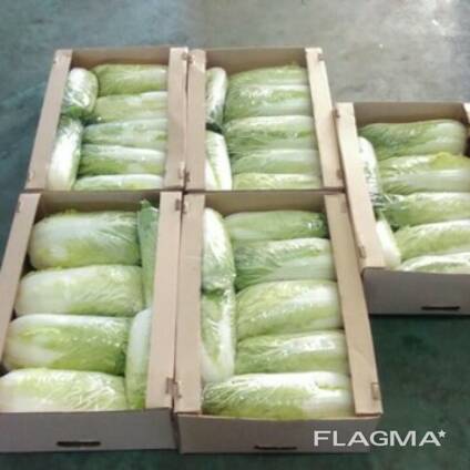 Капуста Оптом Купить Беларусь