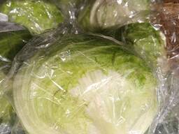 Капуста урожай 2024годп