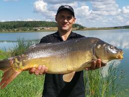 Карп элитный