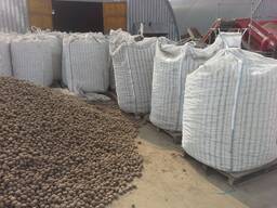 Картофель 4-6