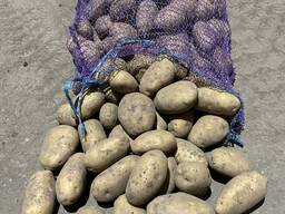 Картофель Вкусный