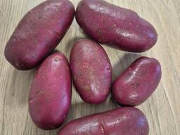 Картофель красный