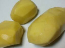 Картофель Леди Клэр