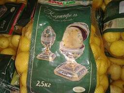 Картофель