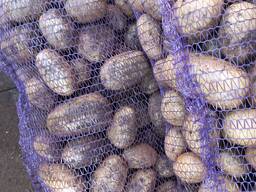 Картофель, свекла, морковь