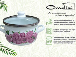 Кастрюля стальная эмалированная с деколью