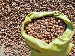 Керамзит фр. 10/20мм М300 (50л. )