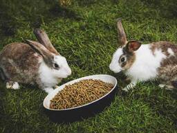 Комбикорм КК-92 (Взрослые кролики ) гр. 1/30 кг