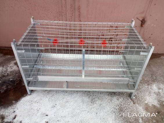 Оборудование для птицеводства в Беларуси