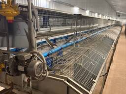 Клетки для кроликов промышленные