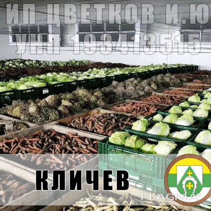 Кличев обеззараживание, дезинфекция, обработка складов, овощехранилищ, картофелехранилищ