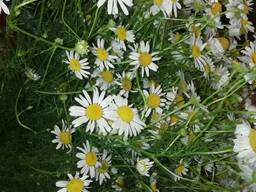 Клининг в Минске, Барановичах и между ними