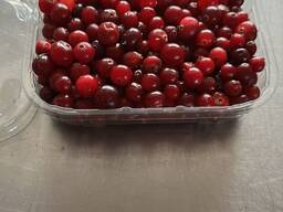 Клюква замороженная