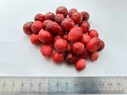 Клюква сублимированная целая (производство Беларусь)