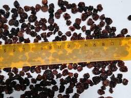 Клюква сушеная натуральная лесная дикая