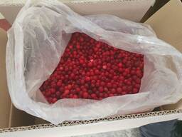 Клюква Замороженная