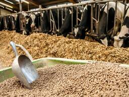 БМВД Комбикорм для КРС