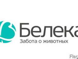 Комбикорм для кур-несушек