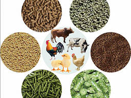 Комбикорм для Птиц, Свиней, КРС
