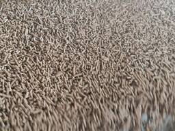 Комбикорм для свиней СК-55