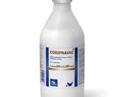 Кориправак