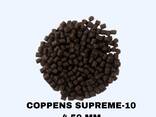 Корм для рыб COPPENS (supreme, supreme astax, orange) - фото 1