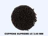 Корм для рыб COPPENS (supreme, supreme astax, orange) - фото 3