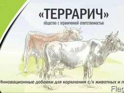Консервант «Террарич-К» Кормовая добавка для КРС, птиц, овец