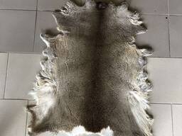 Ковер из шкуры косули