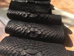 Кожа питона натуральная