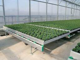 Культивационныезаливные столы