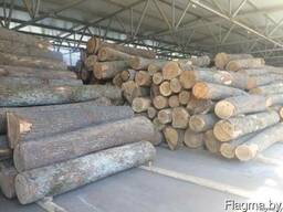 Купим кругляк дуба